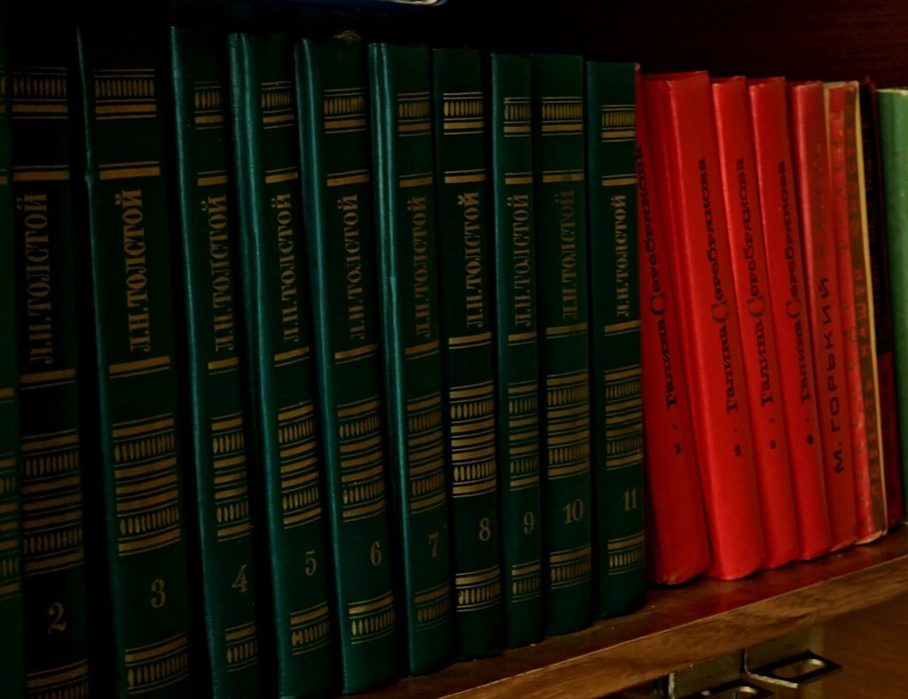 aseguranzas médicas para indocumentados